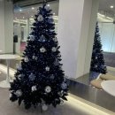 강남스크린 | 락테니스 가로수길점 원데이 체험 후기｜테니스 레슨부터 스크린 연습까지, 강남 데이트 장소로 추천