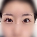 월평서로 | [대전/월평] 대전속눈썹펌 오르트뷰티 대만족후기 블랙틴팅 속눈썹펌