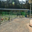 천사의집 이미지