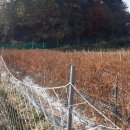 노은면사무소 이미지