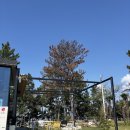 690 | 함평 돌머리해수욕장 근처 카페 돌마레690 귀여운 곰돌이 케이크