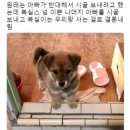 한국용역 네이버블로그