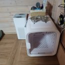 해피독 애견펜션2 이미지