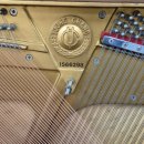 신북읍 행정복지센터 이미지