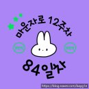 84 | [마운자로 84일차 후기] 몸무게가 내려갔다??!!