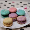 윤스마카롱 이미지