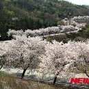 청풍보건지소 이미지