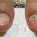 레푸스 평택점 이미지