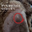 꿈이크는 동물병원 이미지