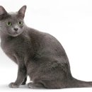 24시 코끼리동물의료센터 이미지