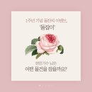 [1주년 기념 라방 공지] 7월10일 토요일 4시 인스타 라이브방송이 진행됩니다. 이미지