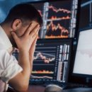 개미통신 이미지