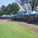 팔령초등학교 이미지