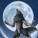 쎄려언니 이미지