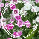 미유나우커피 | [일상 조각 모음] 6월 1주 "좋은 사람들과 맛있는거 먹고 예쁜거 보기"_여추반 시즌 3 / 일러스트 팝업...