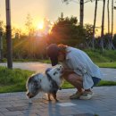 구미 다온숲화장실 | 구미 다온숲 후기 l 반려견 산책 후기