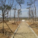 금강베네치아 이미지