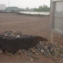 동일리-4 이미지