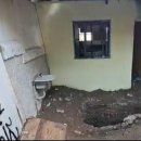 나무안에서 이미지