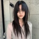 헤어본 - 무안군 | 헤어본