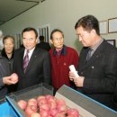 대구경북능금농협 상주지점 Daum카페