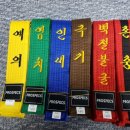 용인대단재태권도 이미지