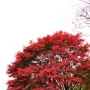 국립서울현충원 유품전시관 이미지