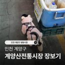 계양산전통시장 | 인천 계양구 계양산전통시장, 토리씨랑 장보기 다녀왔어요!