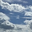 까까물래 | 커즈 욤마 데스티니