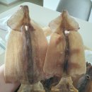 농라-건어물이 좋다 건오징어^^