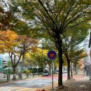 강진-44 | 눈과 입(?)으로 즐긴 가을 - 11월 일상