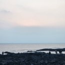 중문제일 이미지