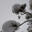 부건농장 이미지