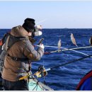 공현진항 이미지