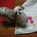 명복농장 이미지