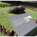 삼양지석묘 1호 이미지