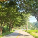 산아래물가에서 이미지