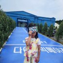 일선목장 | 물놀이하고 말 타고! 판포 포구 + 제주 밭디(feat. 제주도 가족 체험 여행기)