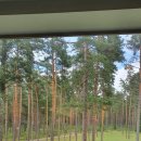 더숲요양병원 이미지