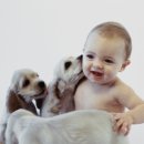 행복한 강아지 이미지