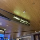 강남-185 | 2025 서울디자인페스티벌 혼자 다녀온 후기 꿀잼 구경, 강남 코엑스