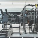 이볼브 트레이닝 이미지