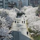 175 더팩트