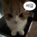 유케어(U-Care) | 카이로프래틱 교정 후기, ‘스트레치 유 케어‘