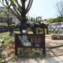 안면도쥬라기박물관 이미지