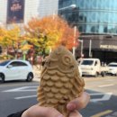 베라 이미지