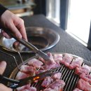 연탄과친한돼지