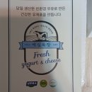애심뜰영농조합법인 | 여주 토마토 총각 동양종 찰토마토 공품 / 연천 러브팜 위러브팜 애심목장 플레인 요거트 내돈내산 후기
