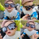 단디스크린골프 네이버블로그
