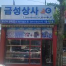 금성상사 이미지